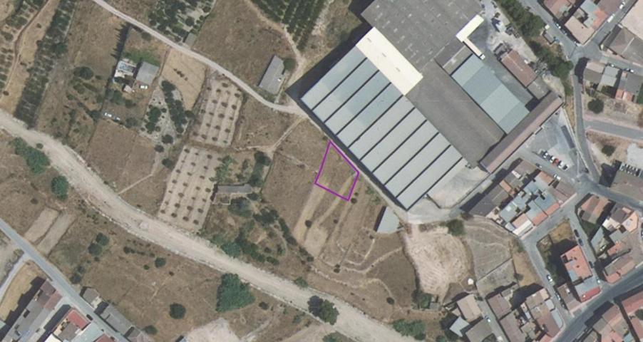 Parcela Regadio ( Pliego ) photo 0