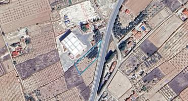 Finca rústica con edificación, olivos y frutales en Las Carreras, Pliego (Murcia) – 1.520 m² photo 0