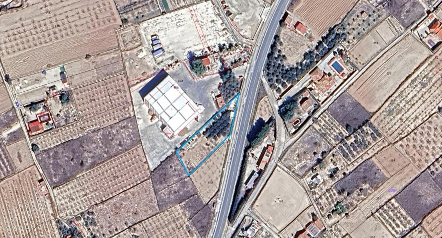 Finca rústica con edificación, olivos y frutales en Las Carreras, Pliego (Murcia) – 1.520 m² photo 0