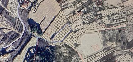 Pinar de secano de 6.983 m² con proyecto para edificar – Pliego, Murcia photo 0