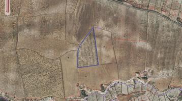 Finca rústica de secano con almendros en plena producción – Mula (Murcia), 34.398 m² photo 0
