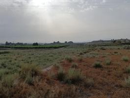 Finca de Regadío con Naves y Vivienda en Las Torres de Cotillas – 55.000 m² de Oportunidad photo 0