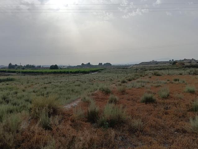 Finca de Regadío con Naves y Vivienda en Las Torres de Cotillas – 55.000 m² de Oportunidad photo 0