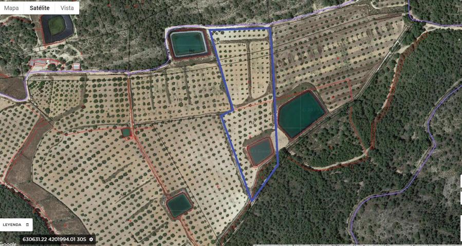 Finca Urbanizable de 14.500 m² en Pliego – Con Almendros en Producción y Potencial Residencial photo 0