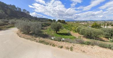 🌿 Finca de Regadío con Frutales en Manzanete (Mula) – Ideal para Cultivo o Huerto Familiar photo 0