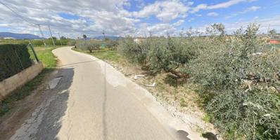 Terreno rústico con olivos en Moique (Pliego) – Ideal para agricultura o recreo photo 0