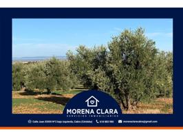 FINCA EN VENTA photo 0