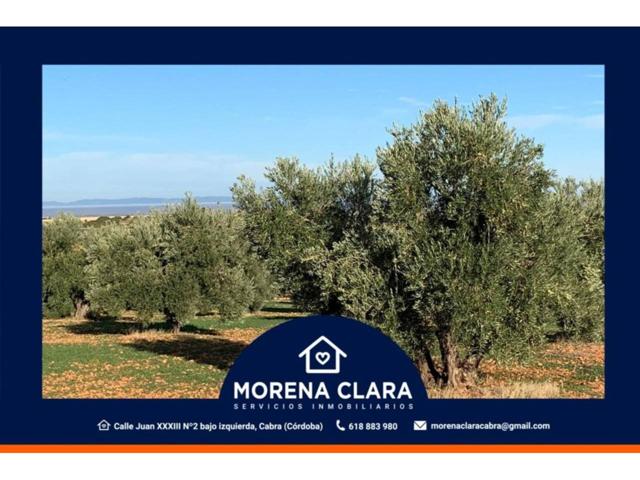 FINCA EN VENTA photo 0