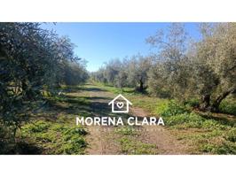 FINCA EN VENTA photo 0