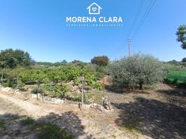 TERRENO EN VENTA photo 0