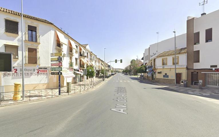 OFICINA EN PALMA DEL RIO photo 0