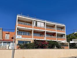 Estudio reformado encantador con inquilino en Paguera, Mallorca photo 0