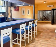 EN VENTA LOCAL COMERCIAL - BAR CON LICENCIA CAFE CONCERT photo 0