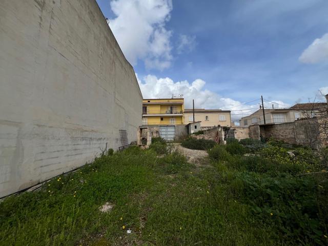 Amplia Parcela con Potencial de Construcción en Muro photo 0