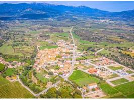 Venta de parcela rústica ideal para viñedos en Sant Climent de Sescebes photo 0