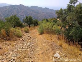 Terreno en venta en Almuñécar de 5629 m2 photo 0