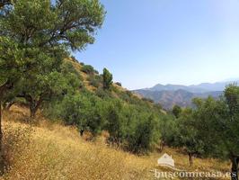 Terreno en venta en Almuñécar de 5629 m2 photo 0