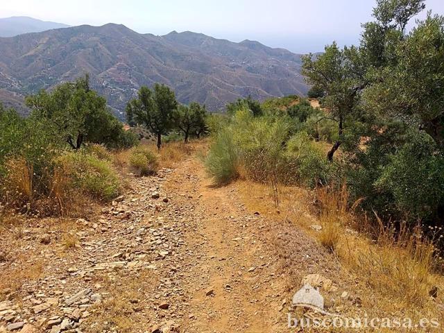 Terreno en venta en Almuñécar de 5629 m2 photo 0