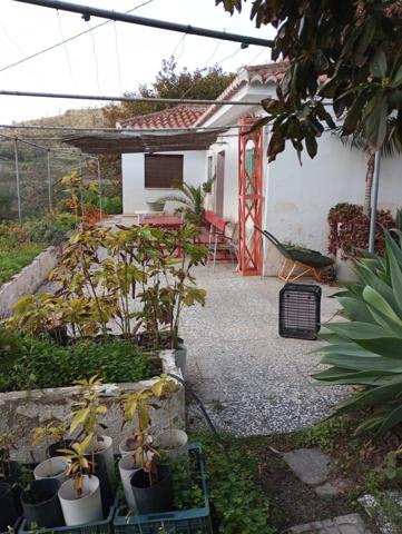 Magnifica finca ecológica de cultivo en Pago del Corral photo 0