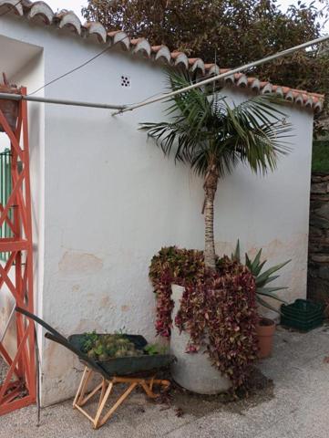 Magnifica finca ecológica de cultivo en Pago del Corral photo 0