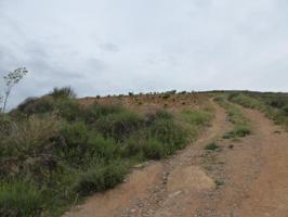 Suelo urbanizable en Huetor Vega photo 0