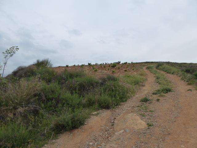 Suelo urbanizable en Huetor Vega photo 0