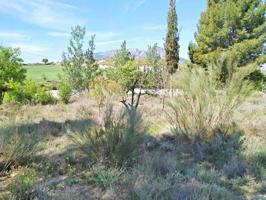 Vivienda a reformar en Benamaurel photo 0
