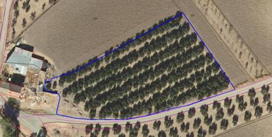 Polígono 3 Parcela 124, Benalua de las Villas photo 0