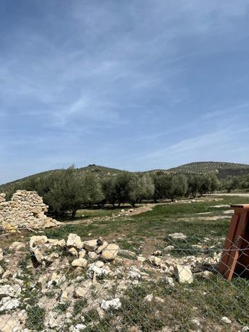 Polígono 3 Parcela 124, Benalua de las Villas photo 0