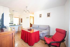 SOLO PARA INVERSORES,La Zubia photo 0