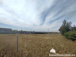 Terreno en venta en Linares de 5245 m2 photo 0