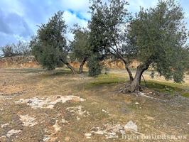 Finca rustica, Casas Hurtado, Lupion. photo 0