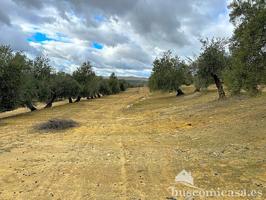 Finca rustica, Casas Hurtado, Lupion. photo 0