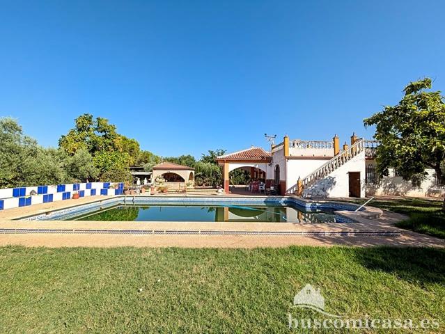 Estupenda casa con piscina en San Roque. photo 0