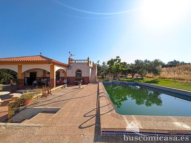 Estupenda casa con piscina en San Roque. photo 0