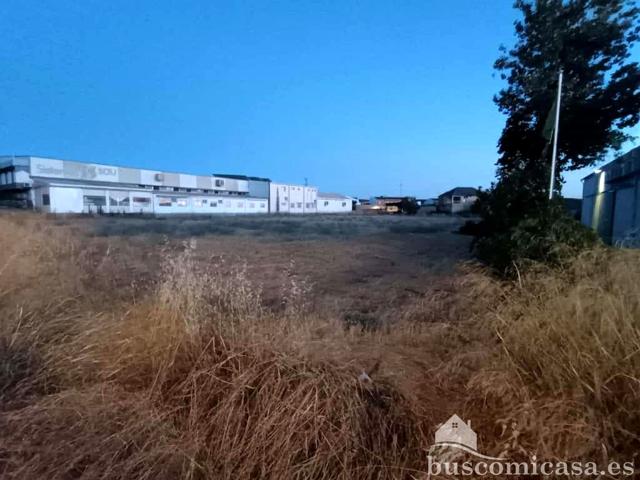 Gran terreno en el polígono Los Jarales. photo 0