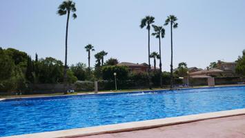 Se vende Club Social y Deportivo en Alicante. photo 0