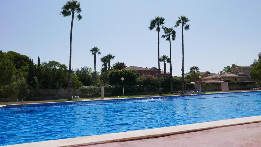 Se vende Club Social y Deportivo en Alicante. photo 0