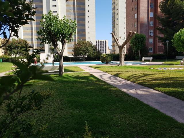 Estupendo piso en urbanización en la zona de Levante, Benidorm. photo 0