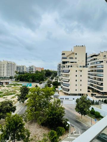 Vivienda en alquiler zona Pau V. Playa de San Juan. Alicante photo 0