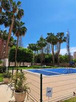 Estupendo ático con amplia terraza en la zona de la Albufereta. photo 0