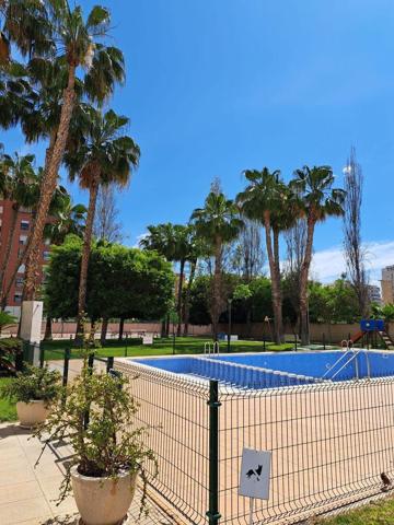 Estupendo ático con amplia terraza en la zona de la Albufereta. photo 0