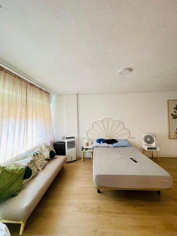 Vivienda dividida en tres apartamentos completos, zona Carolinas Bajas. Alicante photo 0