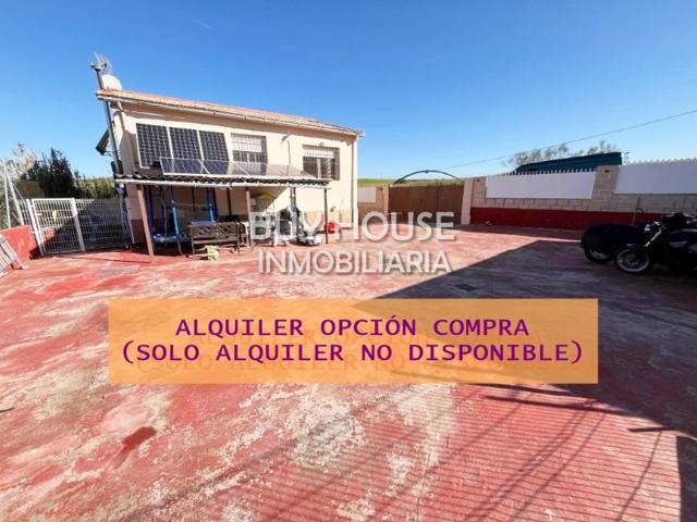 Piso En alquiler en Carranque photo 0