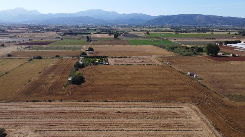 Finca rustica en Muro photo 0