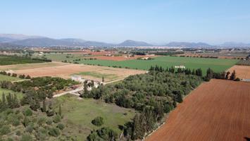 Finca rustica edificable en Sa Pobla photo 0