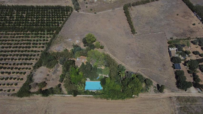 Chalet rústico con piscina y LICENCIA VACACIONAL en Sa Pobla photo 0