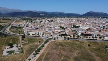 Solar industrial en Sa Pobla photo 0