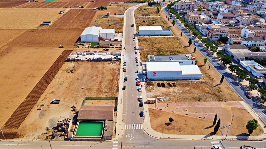 Solar industrial en Sa Pobla photo 0