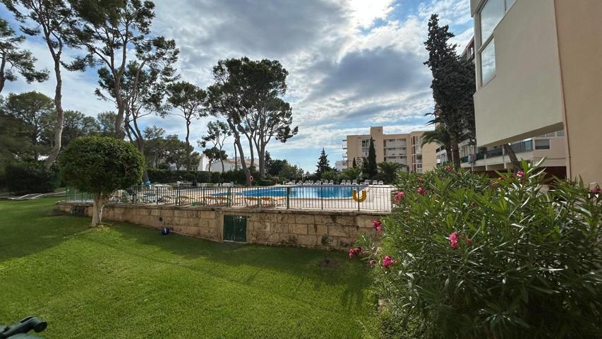 Se alquila apartamento en Son Caliu photo 0